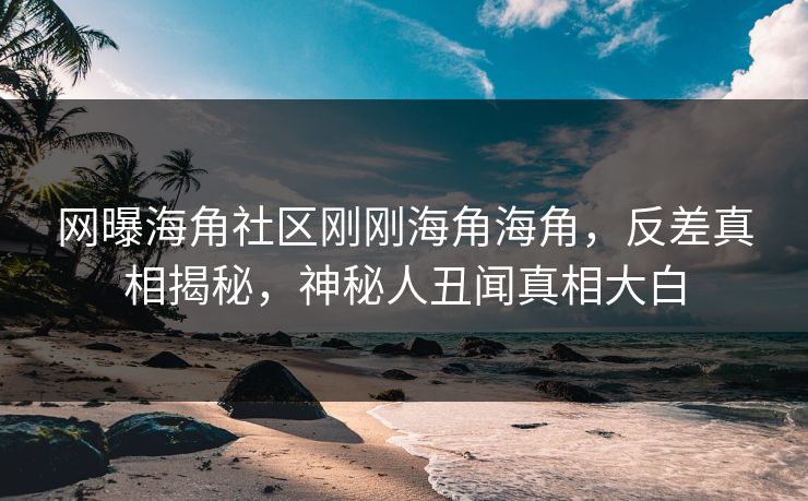 网曝海角社区刚刚海角海角，反差真相揭秘，神秘人丑闻真相大白