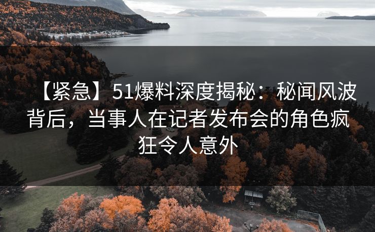 【紧急】51爆料深度揭秘：秘闻风波背后，当事人在记者发布会的角色疯狂令人意外
