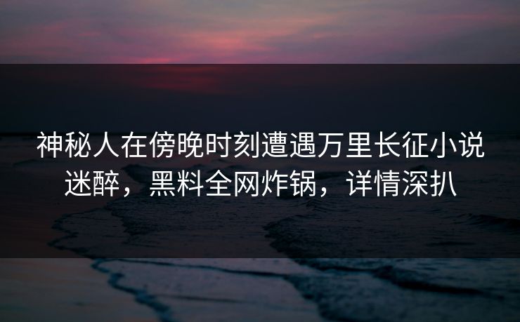 神秘人在傍晚时刻遭遇万里长征小说迷醉，黑料全网炸锅，详情深扒