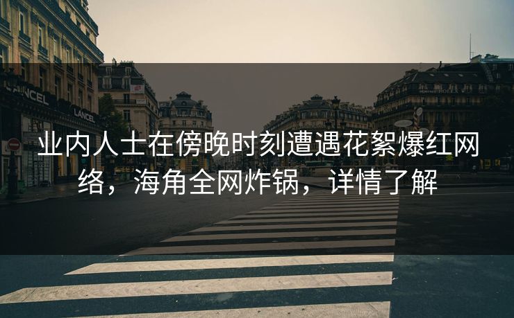 业内人士在傍晚时刻遭遇花絮爆红网络，海角全网炸锅，详情了解