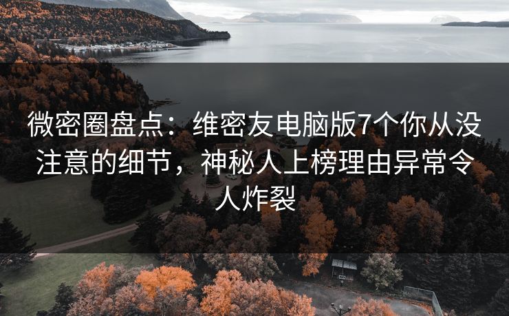 微密圈盘点：维密友电脑版7个你从没注意的细节，神秘人上榜理由异常令人炸裂