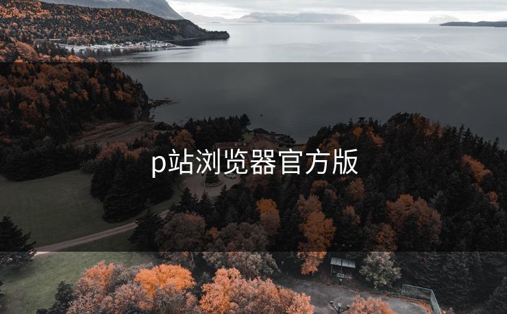 p站浏览器官方版