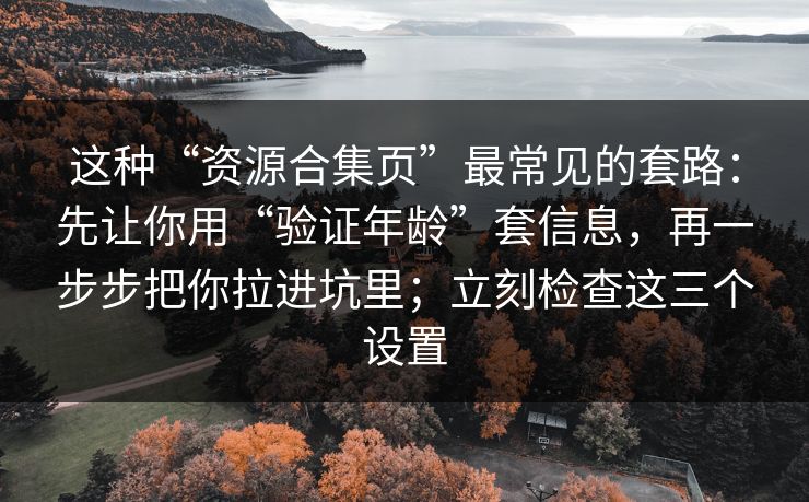 这种“资源合集页”最常见的套路：先让你用“验证年龄”套信息，再一步步把你拉进坑里；立刻检查这三个设置